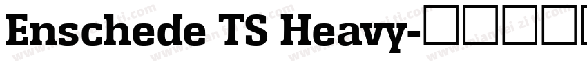 Enschede TS Heavy字体转换